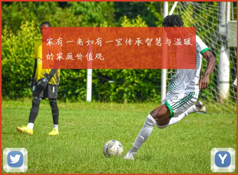 家有一老如有一宝传承智慧与温暖的家庭价值观