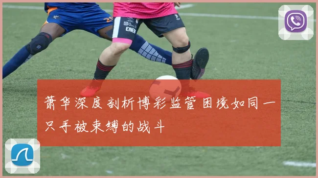 萧华深度剖析博彩监管困境如同一只手被束缚的战斗